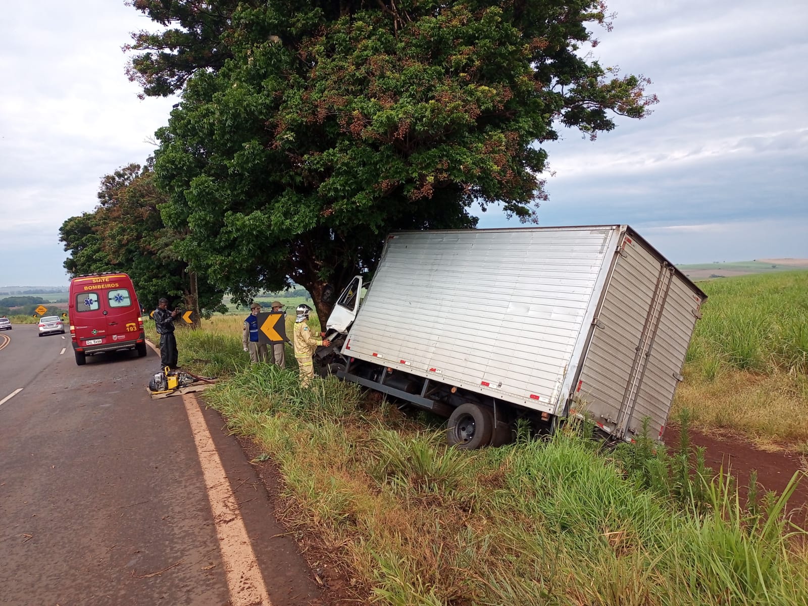 Caminhoneiro A Morre Ao Bater Em Rvore Na Br Entre Bandeirantes